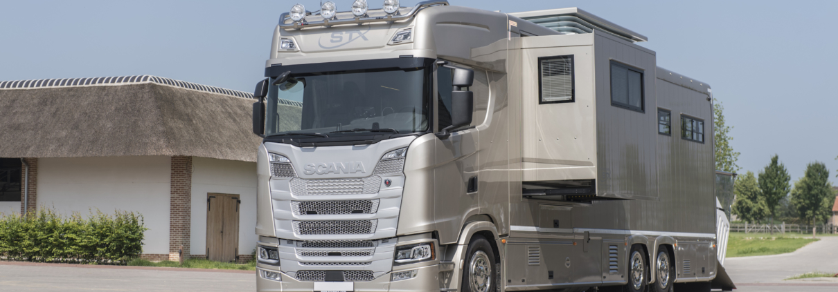 camions chevaux occasion